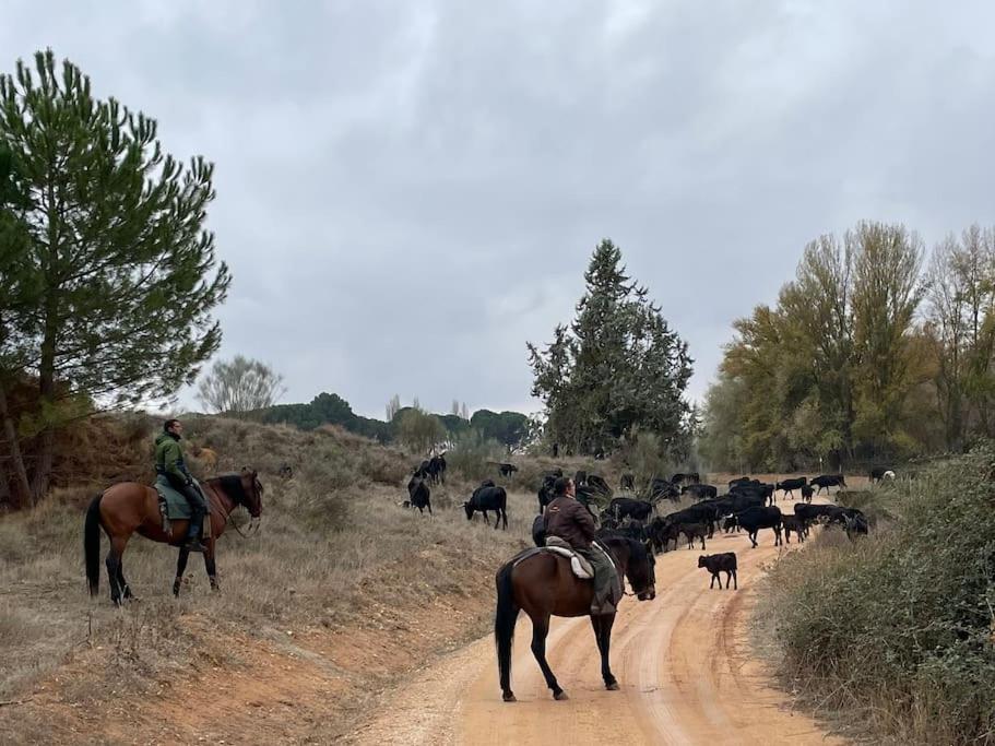 Casa Rural Berta El Picazo 외부 사진