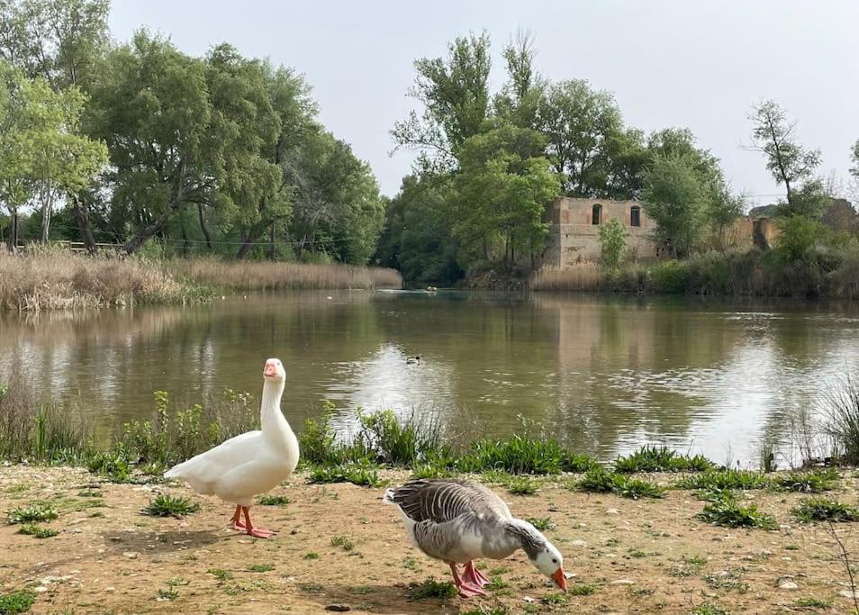 Casa Rural Berta El Picazo 외부 사진