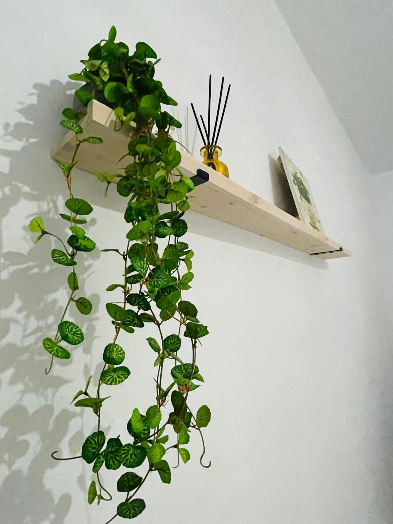 Casa Rural Berta El Picazo 외부 사진